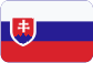 Riadiaca jednotka Slovensky
